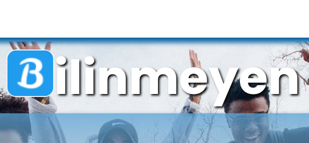 Bild der Bilinmeyen Startseite