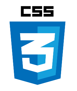 CSS Logo